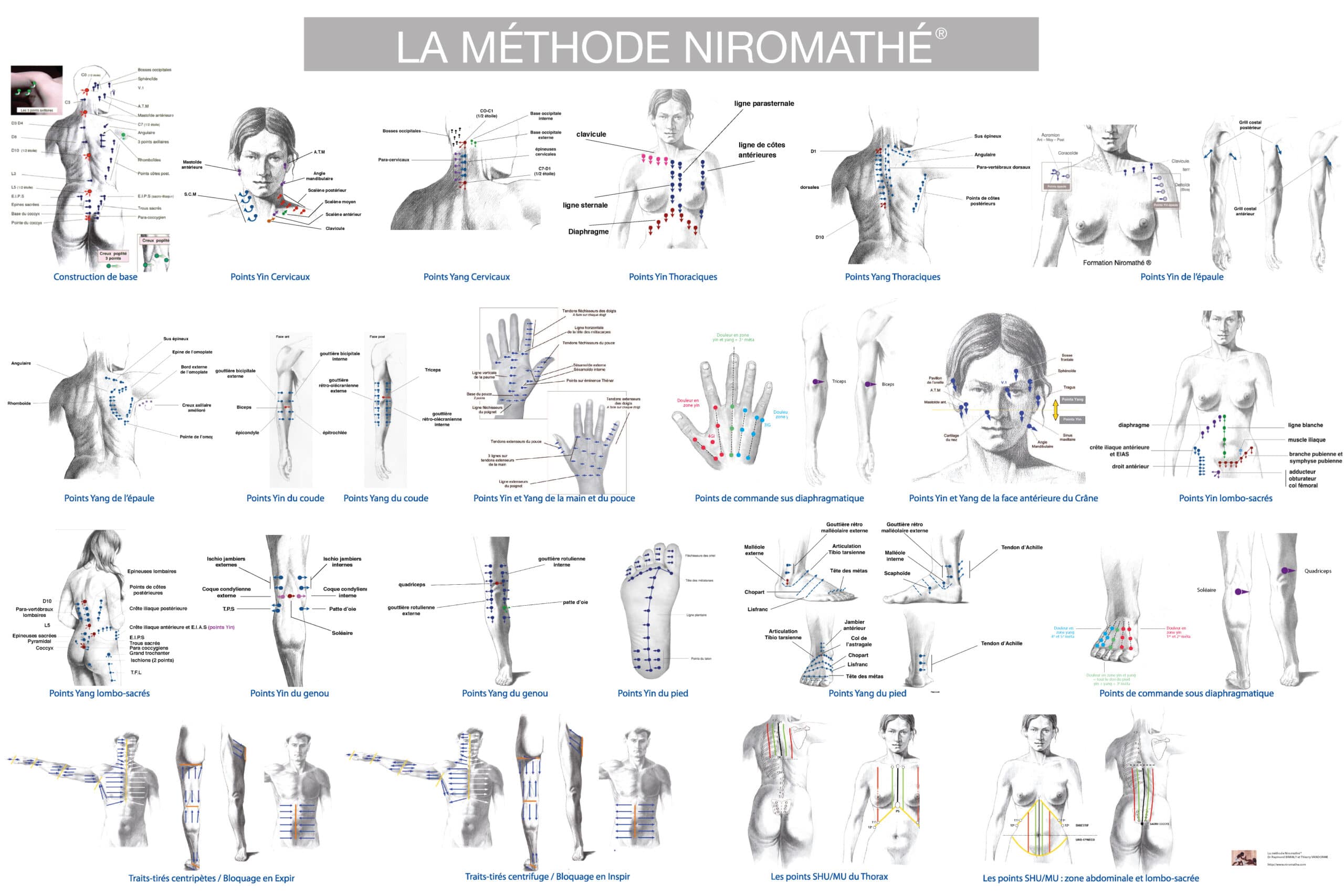 poster des points de niromathe, une technique de reflexotherapie vertébrale et périphérique